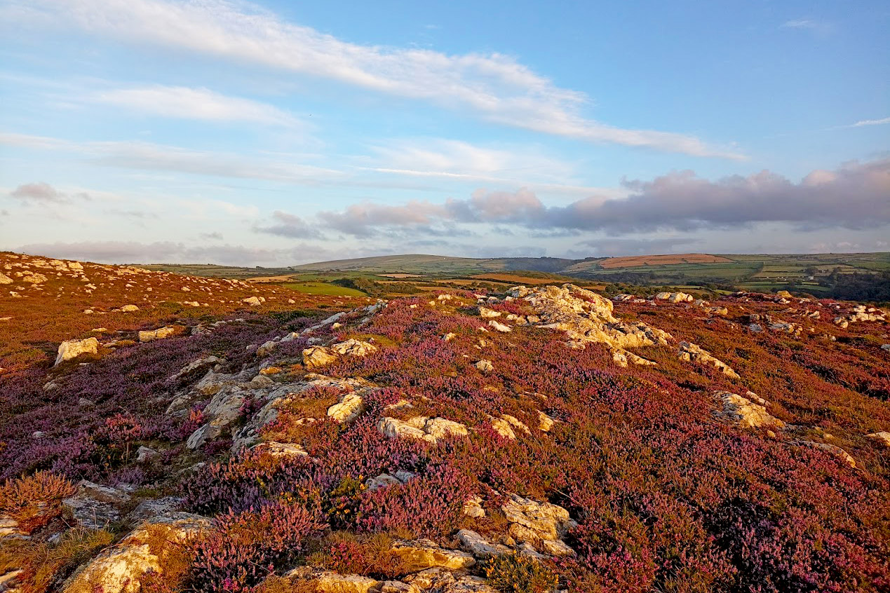 Inland view from Garn Fran